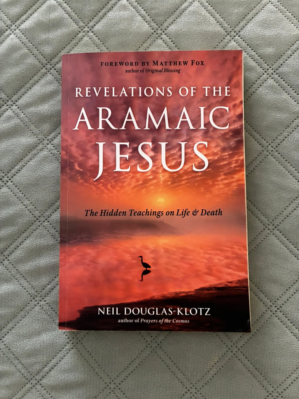 REVELATION OF THE ARAMAIC JESUS Niel Douglas, Gelezen, Spiritualiteit algemeen, Overige typen, Ophalen of Verzenden