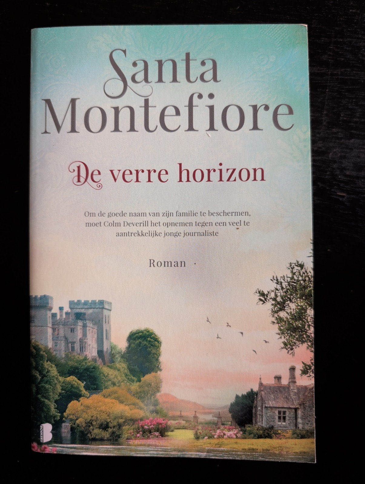 Santa Montefiore - De verre horizon (Roman) ongelezen, Boeken, Ophalen of Verzenden, Zo goed als nieuw, Santa Montefiore, Nederland