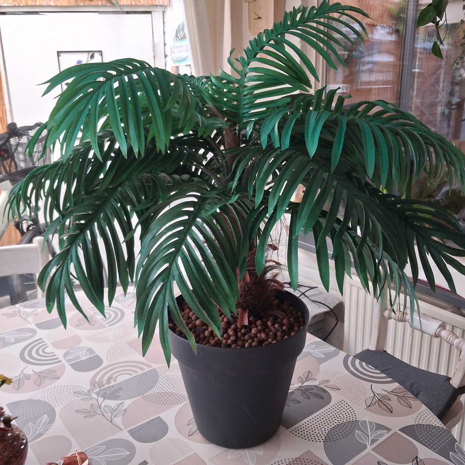 prachtige palm met natuurlijke stam, Ophalen, Binnen, Groen, Kunstplant