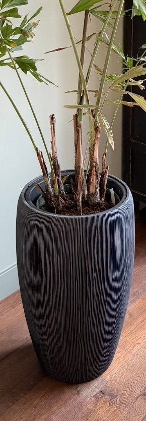 Kunststof bloempot met vulling en binnenpot, Kunststof, Gebruikt, Rond, Binnen