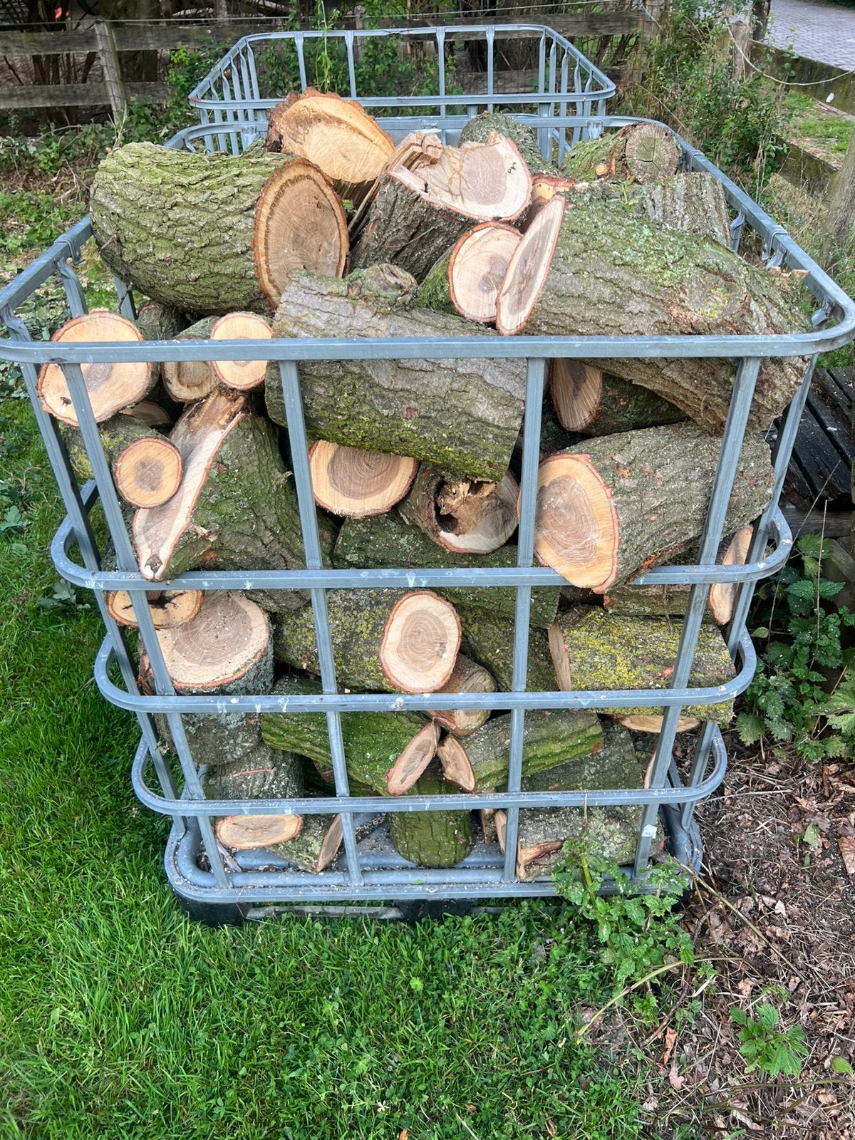 1 kuub eiken brandhout, Minder dan 3 m³, Ophalen, Eikenhout, Stammen