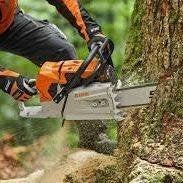 Bomen /Brandhout, Minder dan 3 m³, Ophalen, Stammen