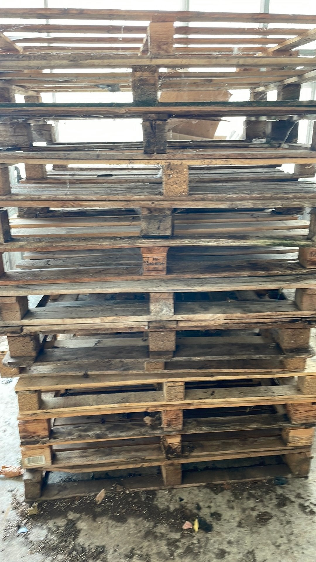 Gebruikte pallets, Ophalen, Zo goed als nieuw, Pallet, Minder dan 200 cm