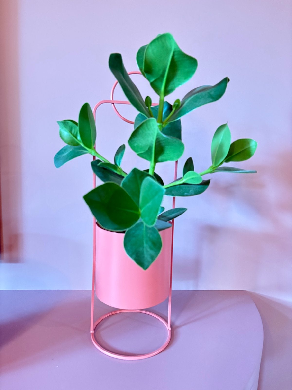 Roze bloempot met standaard - Modern design, Tuin en Terras, Bloempotten, Zo goed als nieuw, Metaal, Binnen, 40 tot 70 cm, Minder dan 25 cm