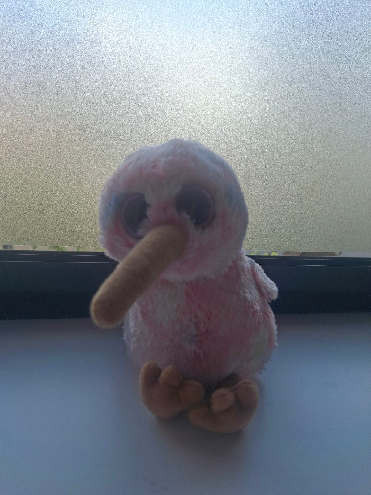 ty kiwi ( kiwi), Ophalen of Verzenden