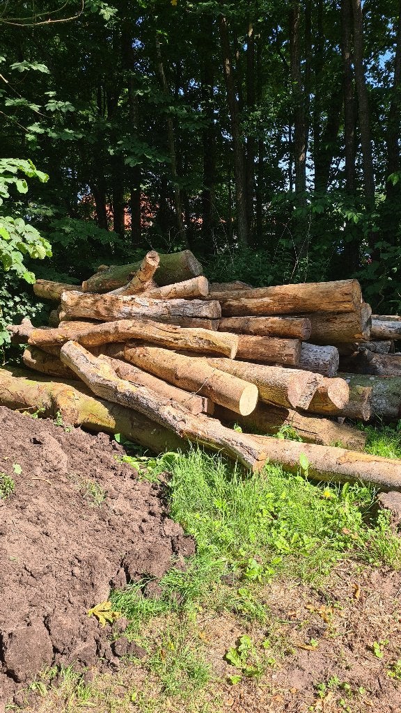 Haardhout 5 kuup € 400, 3 tot 6 m³, Ophalen, Overige houtsoorten, Stammen