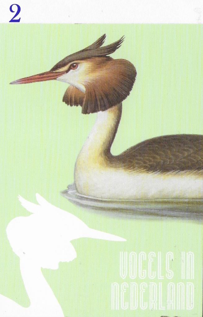 Ansichtkaart Vogels in Nederland Kokmeeuw ( B3954), Ophalen of Verzenden, 1980 tot heden, Ongelopen