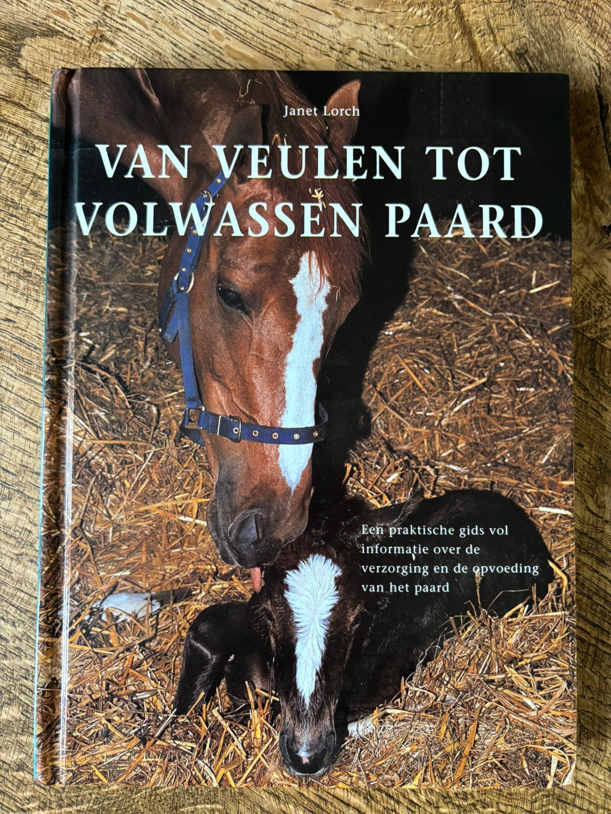 J. Lorch - Van veulen tot volwassen paard, J. Lorch, Ophalen of Verzenden, Zo goed als nieuw, Paarden of Pony's