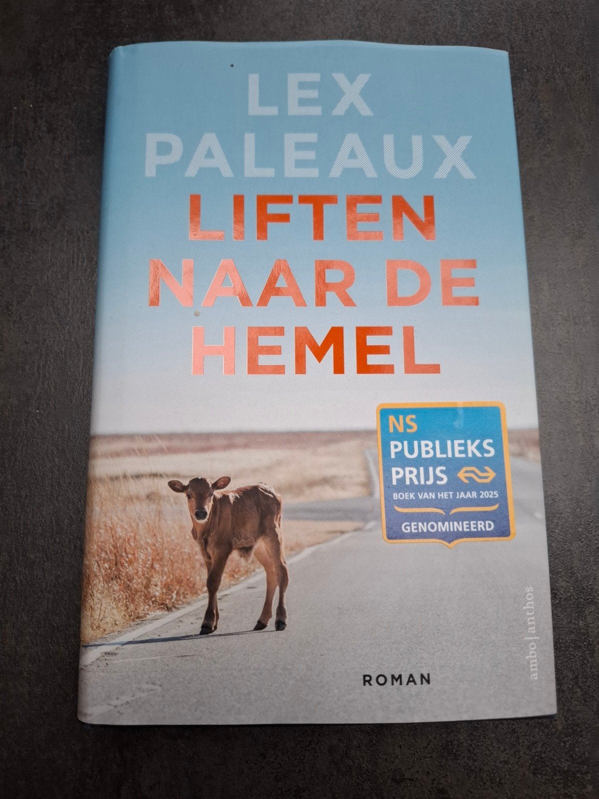 Lex Paleaux - Liften naar de hemel, Ophalen of Verzenden, Zo goed als nieuw, Lex Paleaux