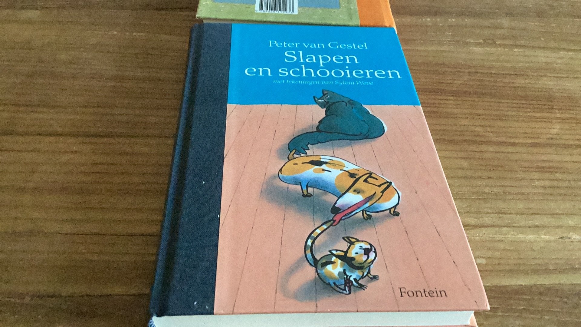 P. van Gestel - Slapen en schooieren. Hardcover. 8+, Boeken, Fictie algemeen, Ophalen of Verzenden, Zo goed als nieuw, P. van Gestel