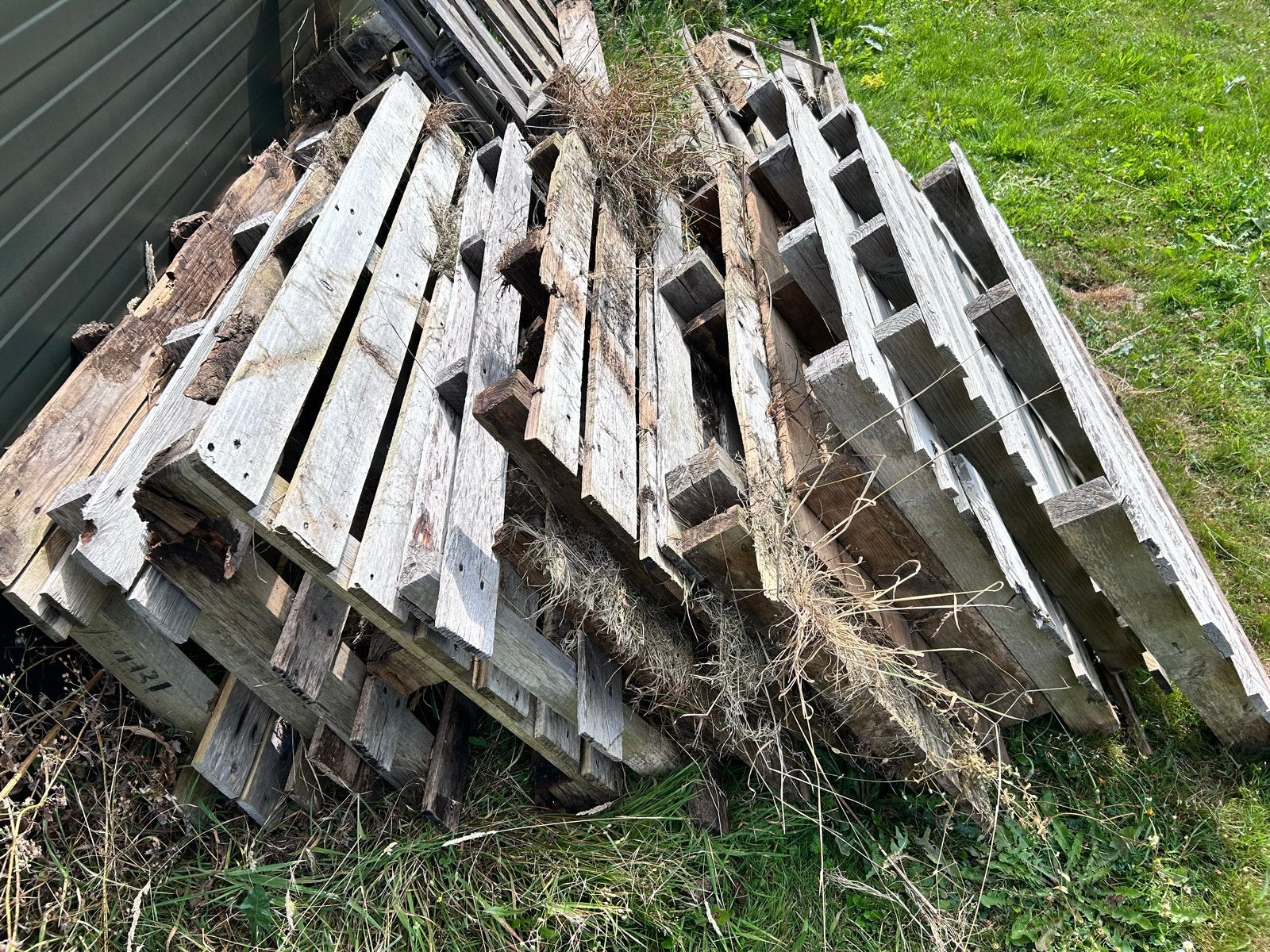 Oude houten pallets, Ophalen, Gebruikt, Pallet, Minder dan 200 cm