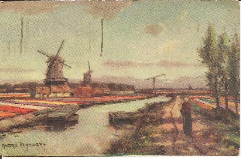 Ansichtkaart Molens en Bloembollenvelden, Ophalen of Verzenden, 1940 tot 1960, Gelopen, Zuid-Holland