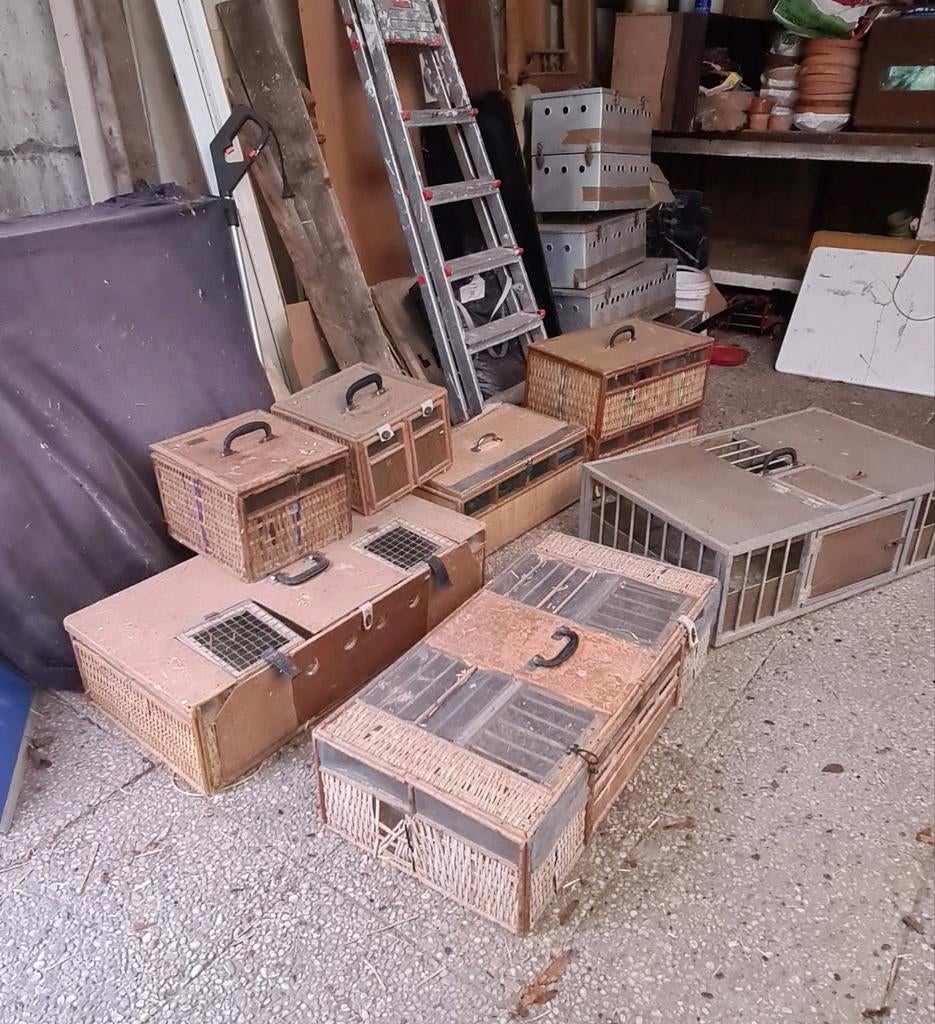 Duivenmanden riet en aluminium, knaagdierenmanden, vogels, Dieren en Toebehoren, Ophalen, Gebruikt
