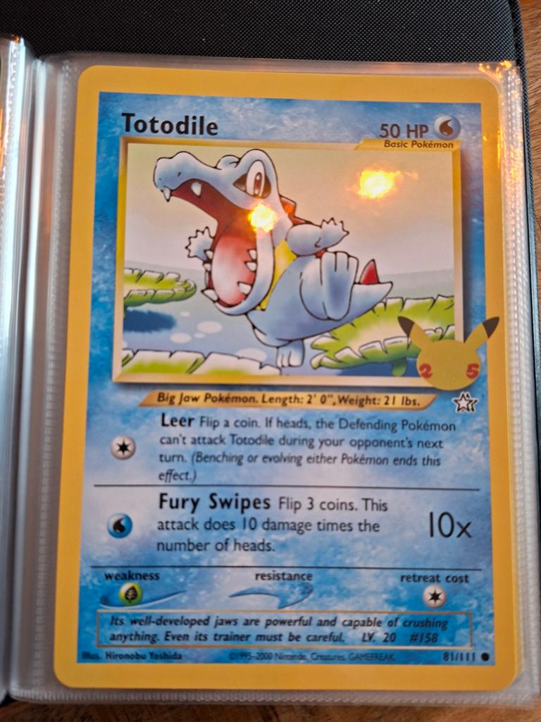 Totodile Pokémon Kaart Jumbo - Basic Pokémon 81/111, Ophalen of Verzenden, Zo goed als nieuw, Losse kaart