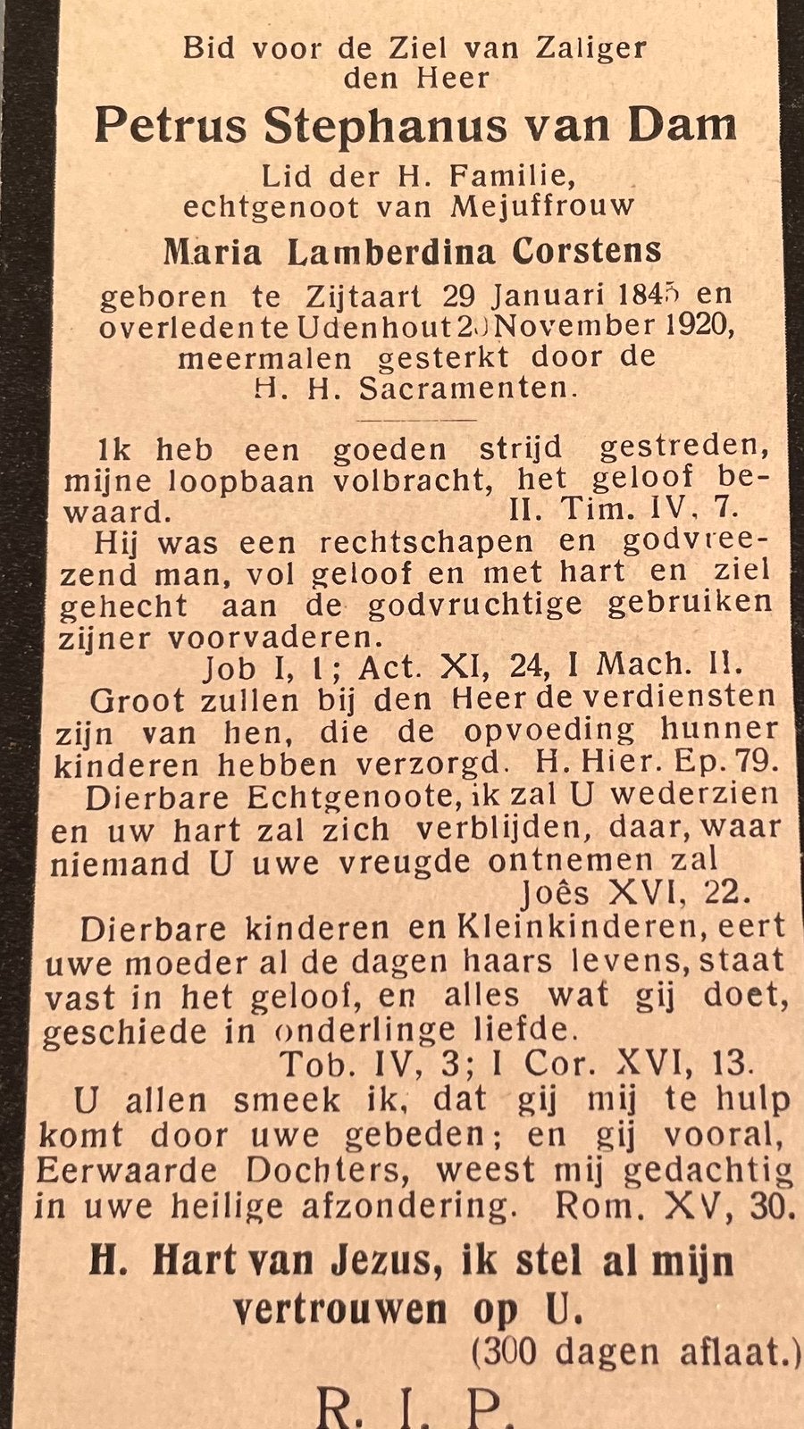 Petrus Stephanus van Dam Zijtaart 1845, Ophalen of Verzenden