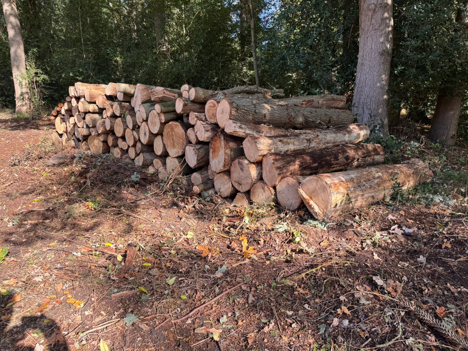 Eik/beuk brandhout, Tuin en Terras, 6 m³ of meer, Ophalen