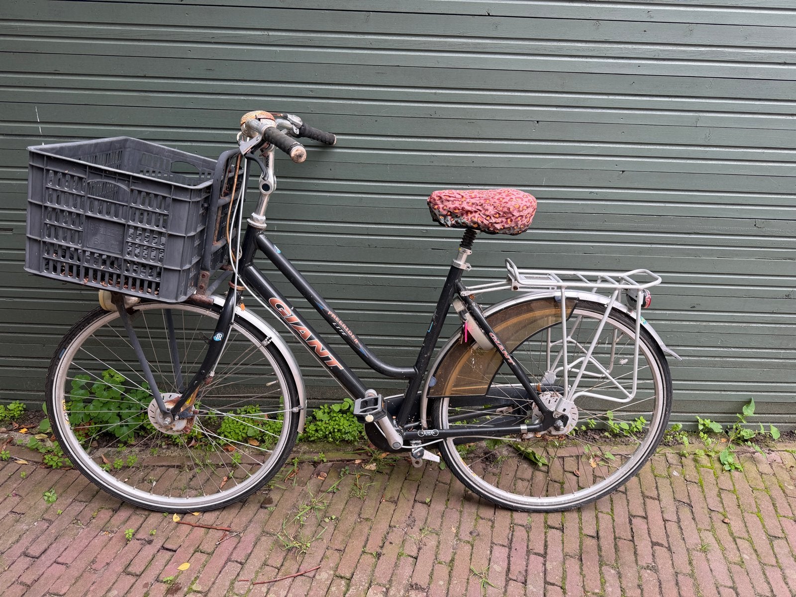 Giant Freerider Lite Damesfiets met Voordrager, Fietsen en Brommers, Ophalen, Gebruikt, Versnellingen, Giant