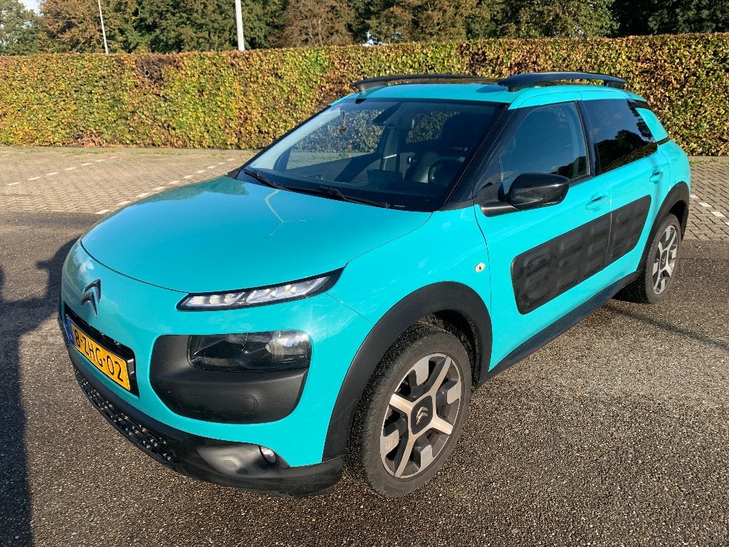 Citroën C4 Cactus 1.6 Blue HDI, zeer zuinig, pano dak, leer, Auto's, Voorwielaandrijving, Winterpakket, Leder en Stof, Origineel Nederlands