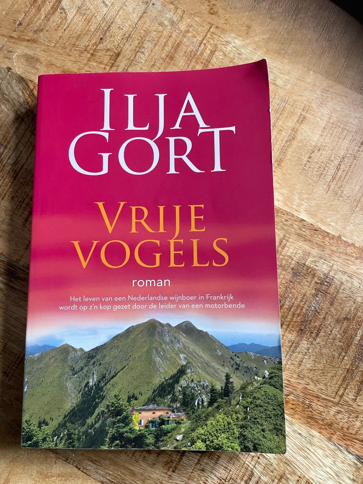 Ilja Gort - Vrije Vogels (Roman), Ophalen of Verzenden, Zo goed als nieuw, Nederland
