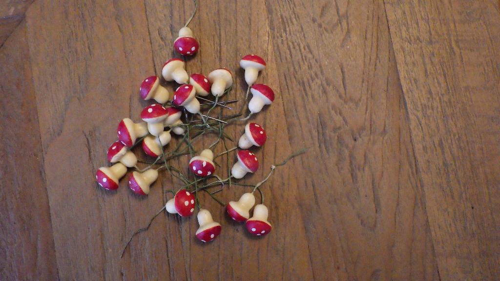 mooie paddestoelen voor kerst, Diversen, Kerst, Ophalen of Verzenden