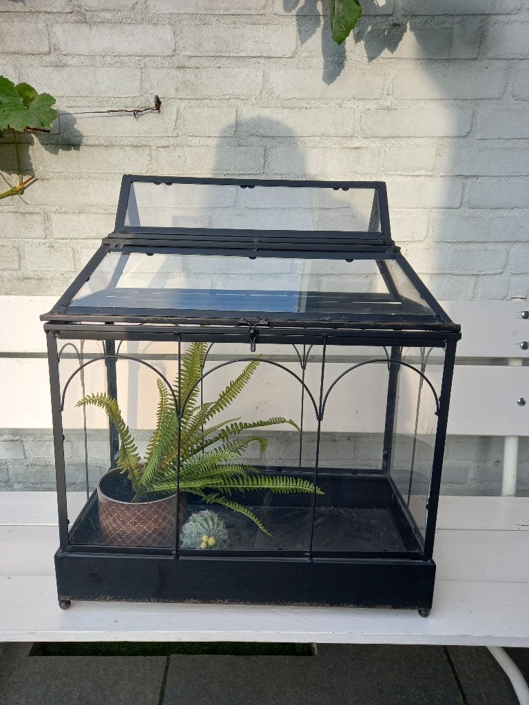 Planten terrarium / Mini Kweekkas, Ophalen, Klassiek, Metaal, Gebruikt
