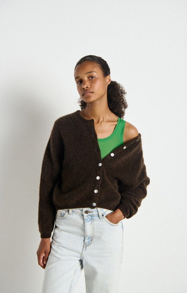 American Vintage Alpaca Cardigan VITOW,  L NIEUWE COLLECTIE, Kleding | Dames, Truien en Vesten, Bruin, Maat 42/44 (L), Nieuw, Ophalen of Verzenden