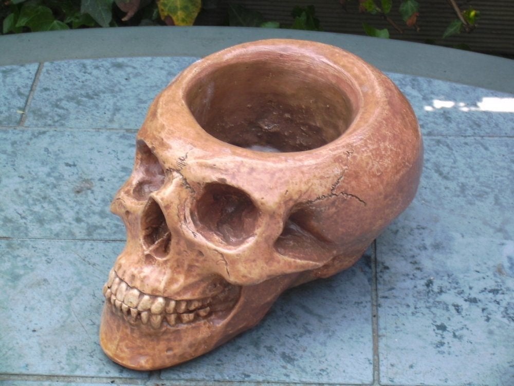 open Holle menselijke Schedel, Skull mens vochtbestendig, Overige materialen, Nieuw, Ophalen of Verzenden, Balkon