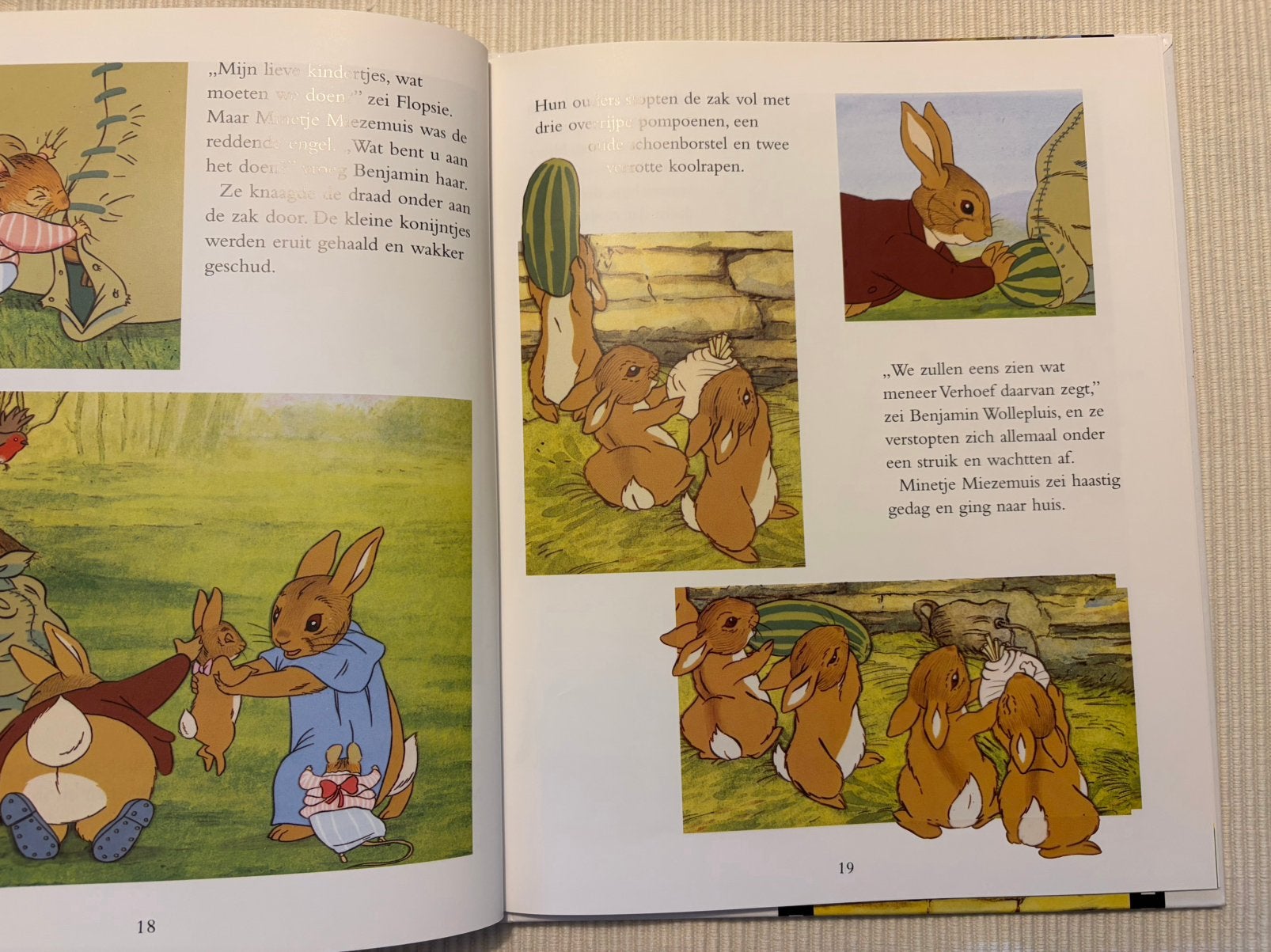 De wollepluiskonijntjes en Minetje Miezemuis, Boeken, Ophalen of Verzenden, Zo goed als nieuw