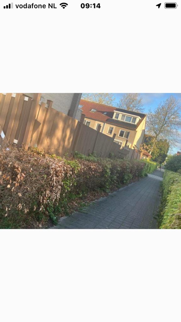 Schutting, Ophalen of Verzenden, Hout, Minder dan 3 meter