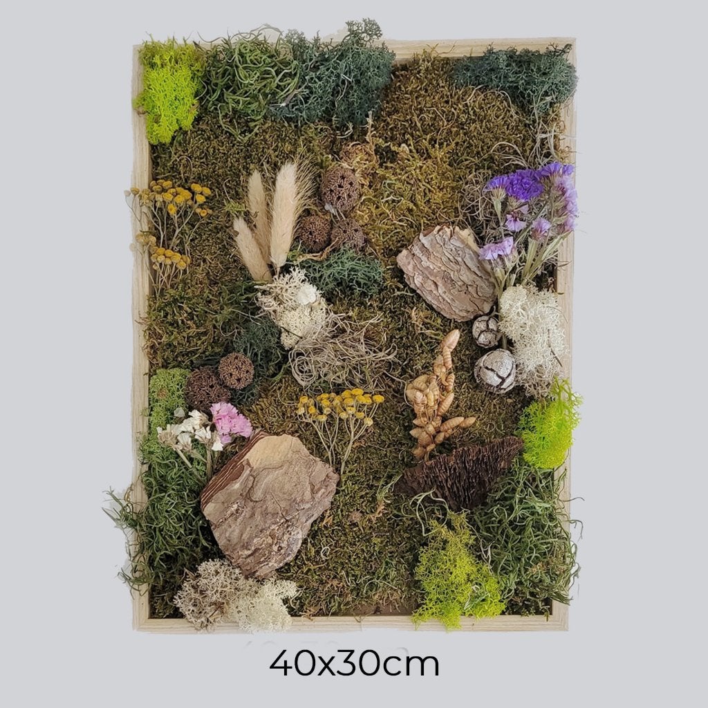 diy mosschilderij 40x30 cm, 30 cm, Ophalen of Verzenden, Botanisch, 40 cm
