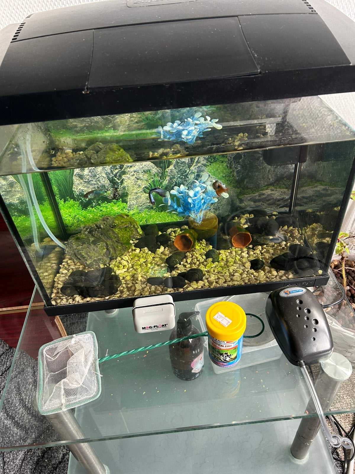 Aquarium incl toebehoren, Dieren en Toebehoren, Ophalen, Zo goed als nieuw, Gevuld zeewateraquarium