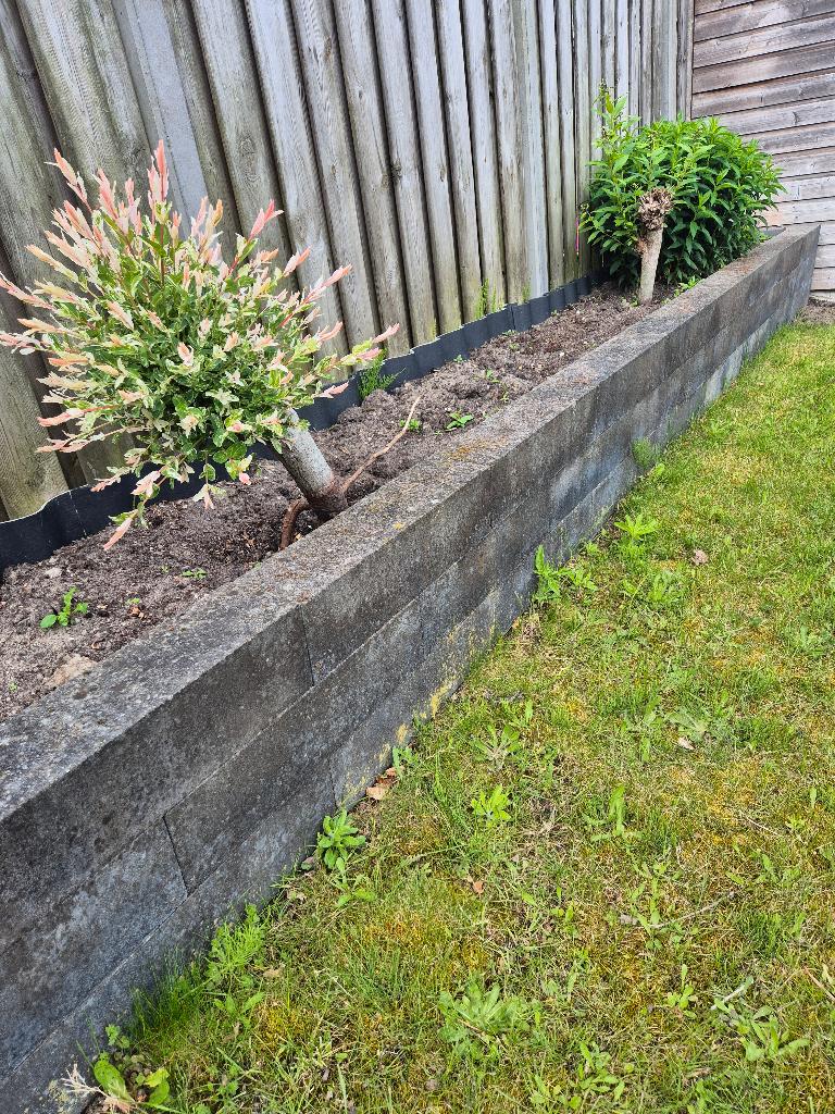 Sapelblokken af te halen, Tuin en Terras, Tegels en Klinkers, Ophalen, Gebruikt, Overige typen, 10 m² of meer