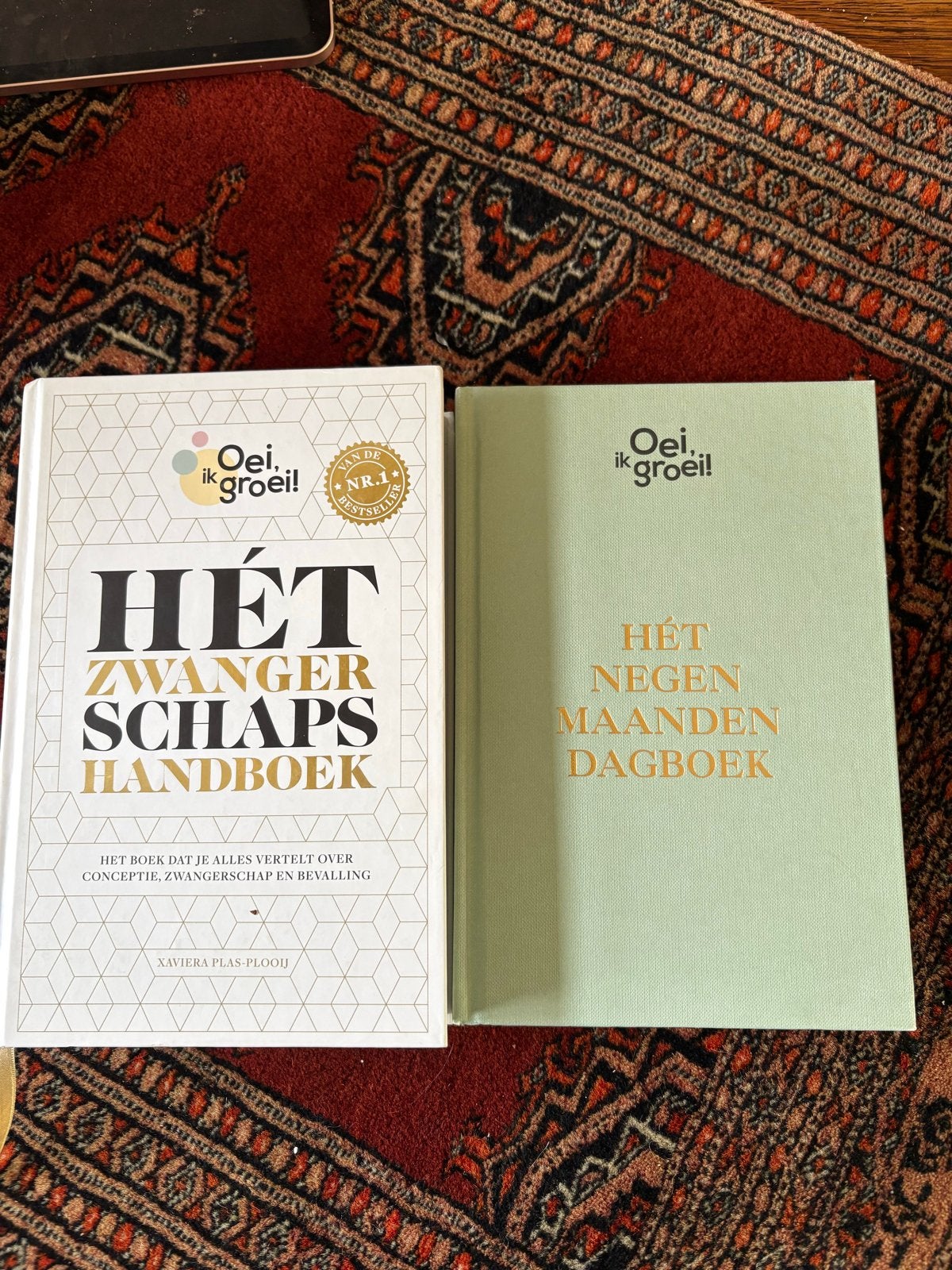 Oei, ik groei! Hét Zwangerschapshandboek & Dagboek, Boeken, Ophalen of Verzenden, Zo goed als nieuw, Zwangerschap en Bevalling