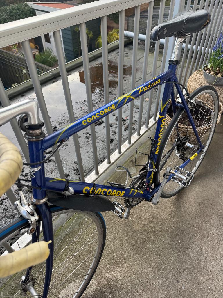 Vintage Concorde Padova racefiets – opknapper, Fietsen en Brommers, Fietsen | Racefietsen, Gebruikt, Ophalen, Overige merken, 10 tot 15 versnellingen