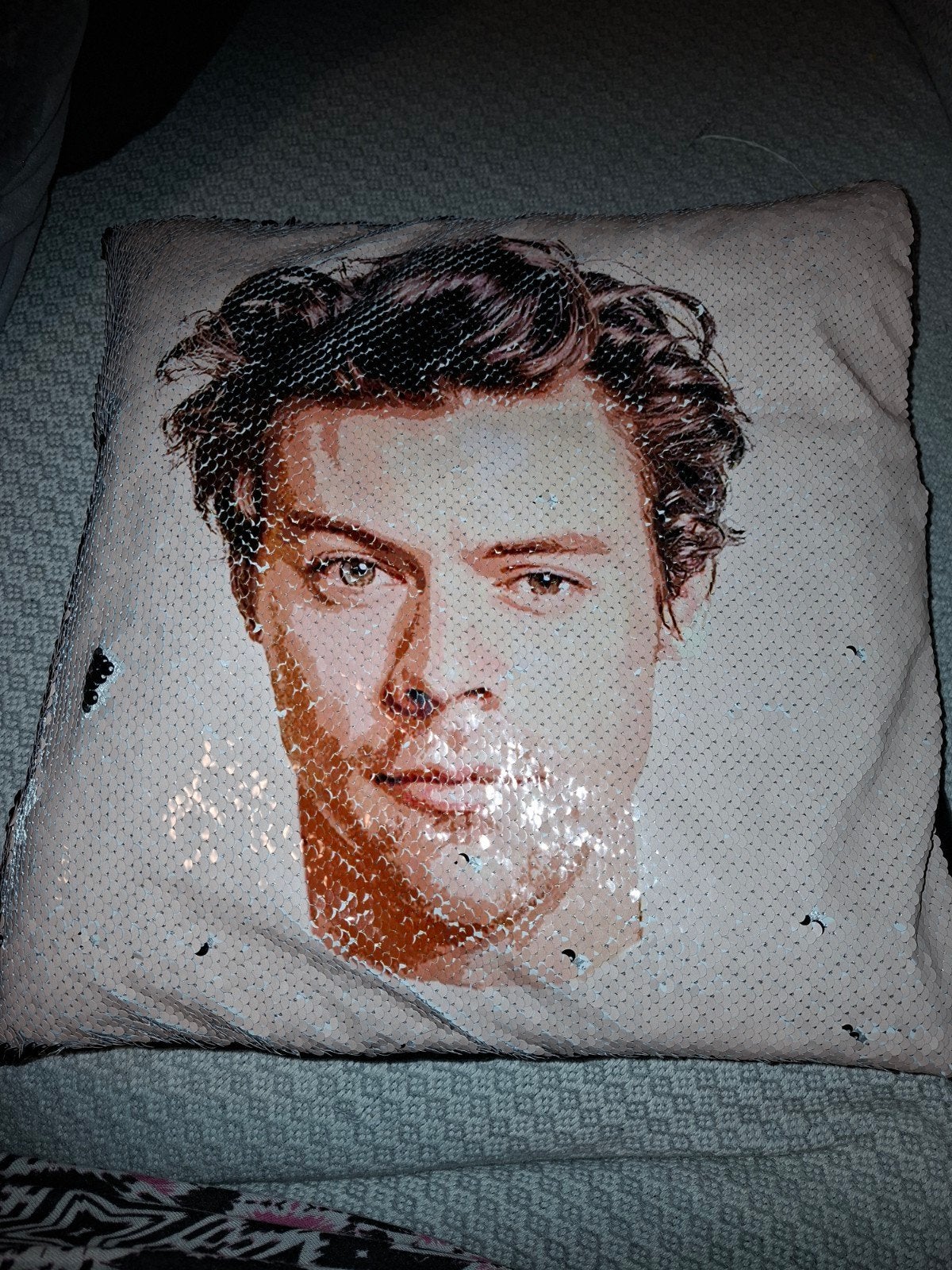 Harry Styles kussen met palletjes, Ophalen of Verzenden, Vierkant