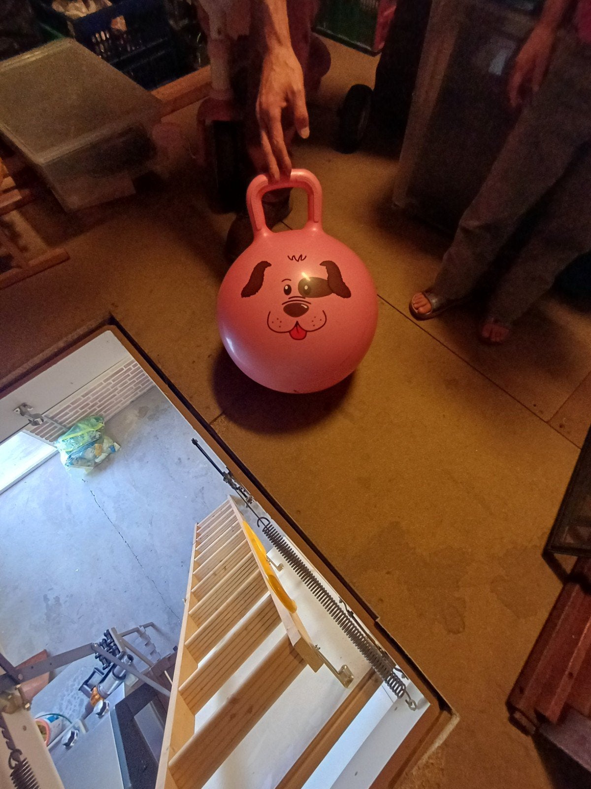 Roze skippybal met hondenprint, Ophalen, Gebruikt, Jongen of Meisje