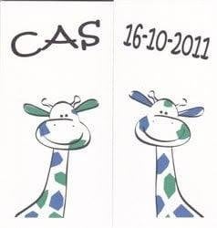 Cas, Ophalen of Verzenden, 2000 tot heden, Geboortekaartje