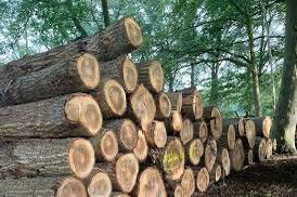 Gezocht haardhout openhaardhout boomstammen houtblokken, Tuin en Terras, Haardhout, Minder dan 3 m³, Ophalen