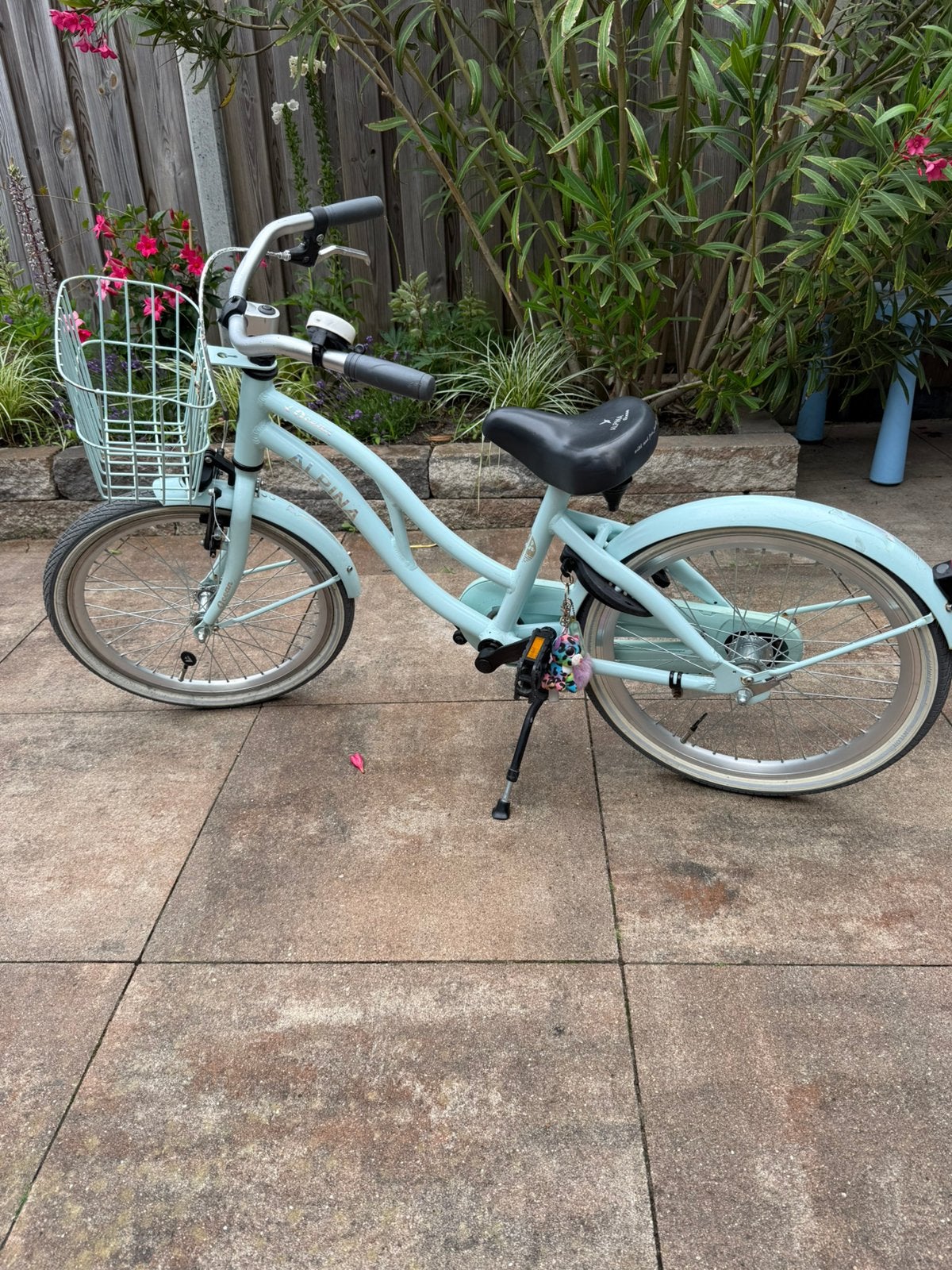 Alpina Ocean, Ophalen, Zo goed als nieuw, 20 inch, Handrem