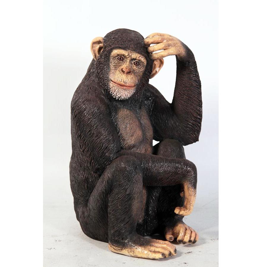 Chimpanzee – Chimpansee beeld Hoogte 70 cm, Ophalen, Nieuw, Overige typen