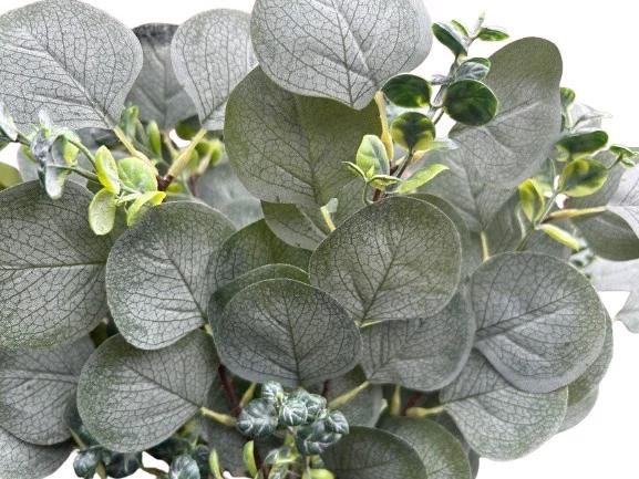Restpartij kunstplanten takken eucalyptus decoratie bruiloft, Ophalen of Verzenden, Rode Beagle kunstbloemen, Info@rodebeagle.nl