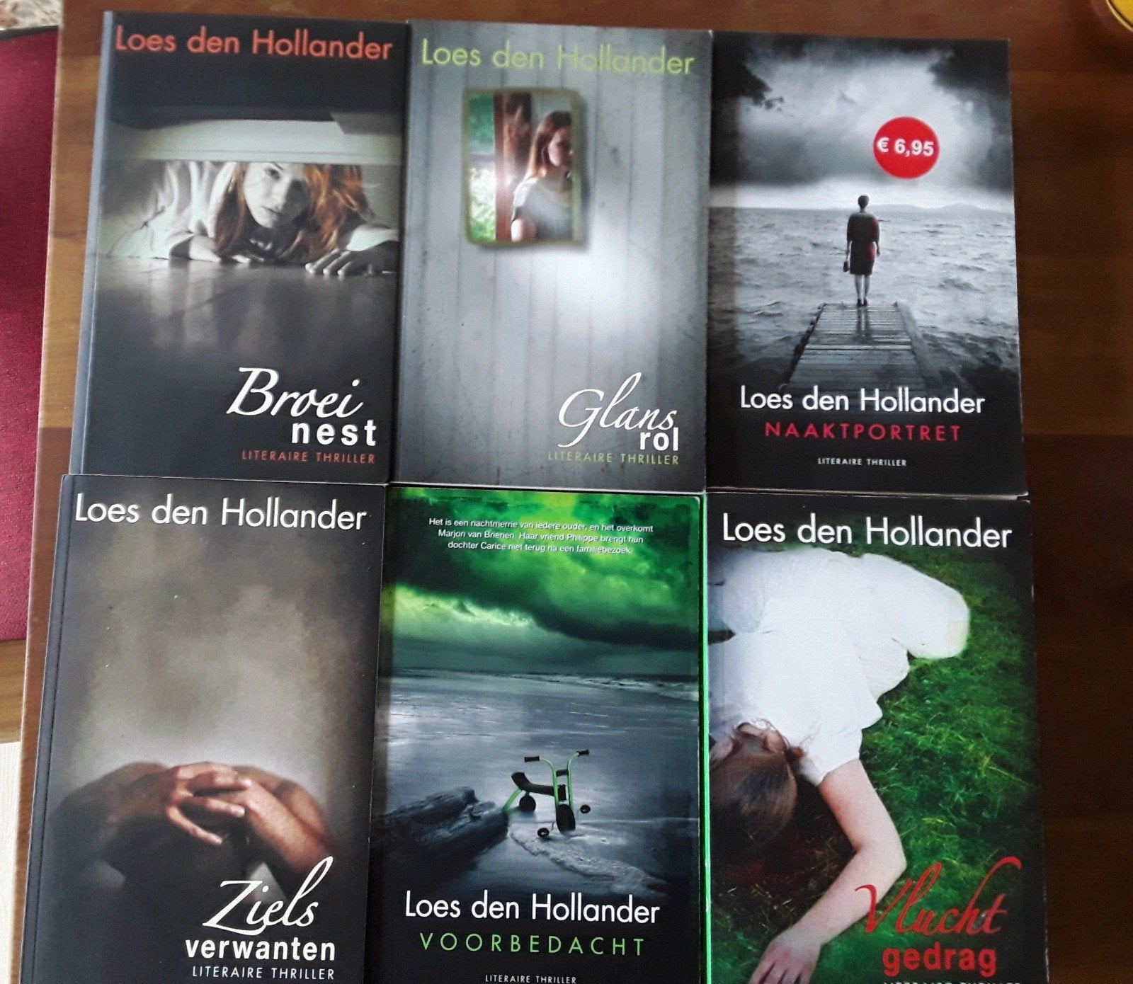 Literaire Thrillers Loes den Hollander, prijs per stuk, Ophalen of Verzenden, Gelezen, Loes den Hollander