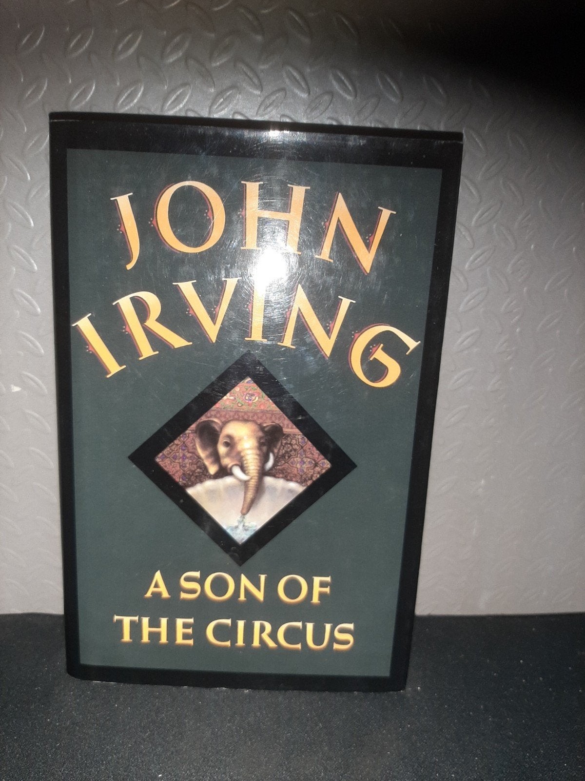 John Irving - A Son of the Circus, Ophalen of Verzenden, Gelezen, John Irving, Wereld overig