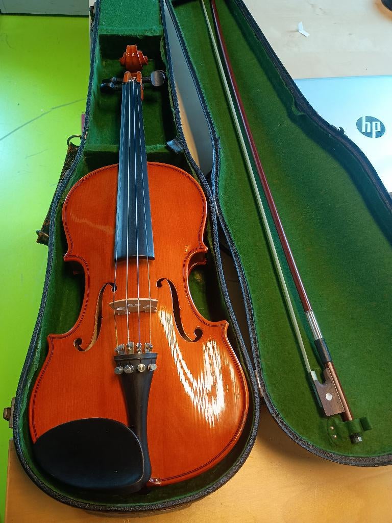 4/4 viool, Muziek en Instrumenten, Strijkinstrumenten | Violen en Altviolen, Gebruikt, Onbekend, Viool, Ophalen of Verzenden