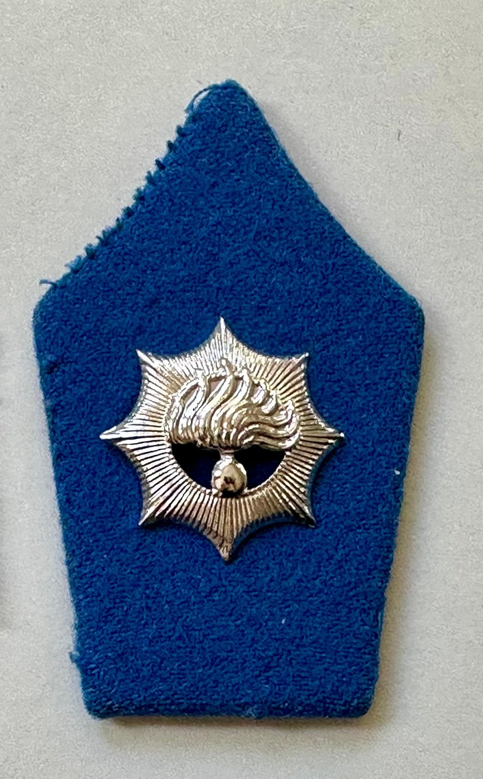 Rijkspolitie vintage, Ophalen of Verzenden, Landmacht, Nederland, Embleem of Badge