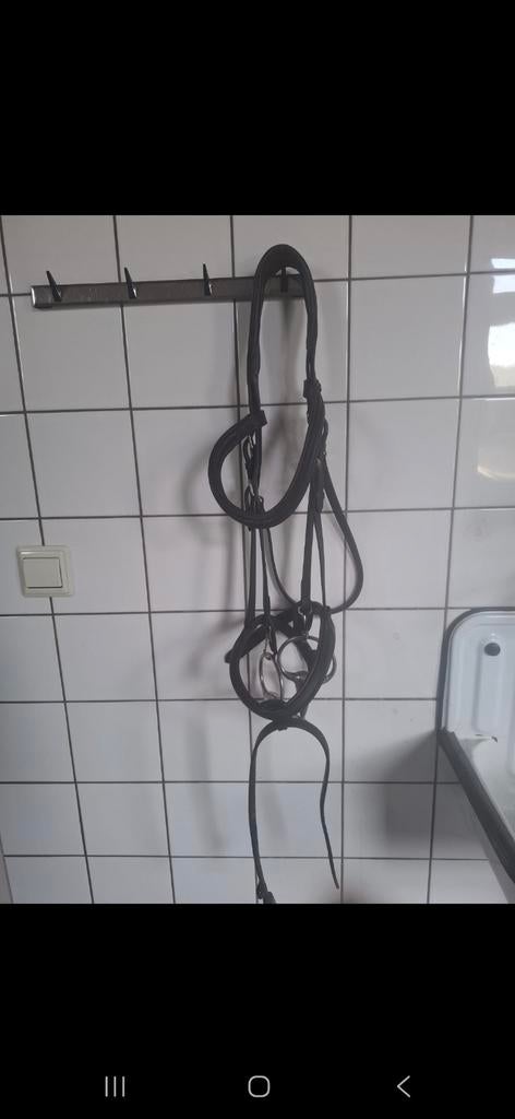 Hoofdstel Kavalkade te koop!, Ophalen of Verzenden, Dressuur