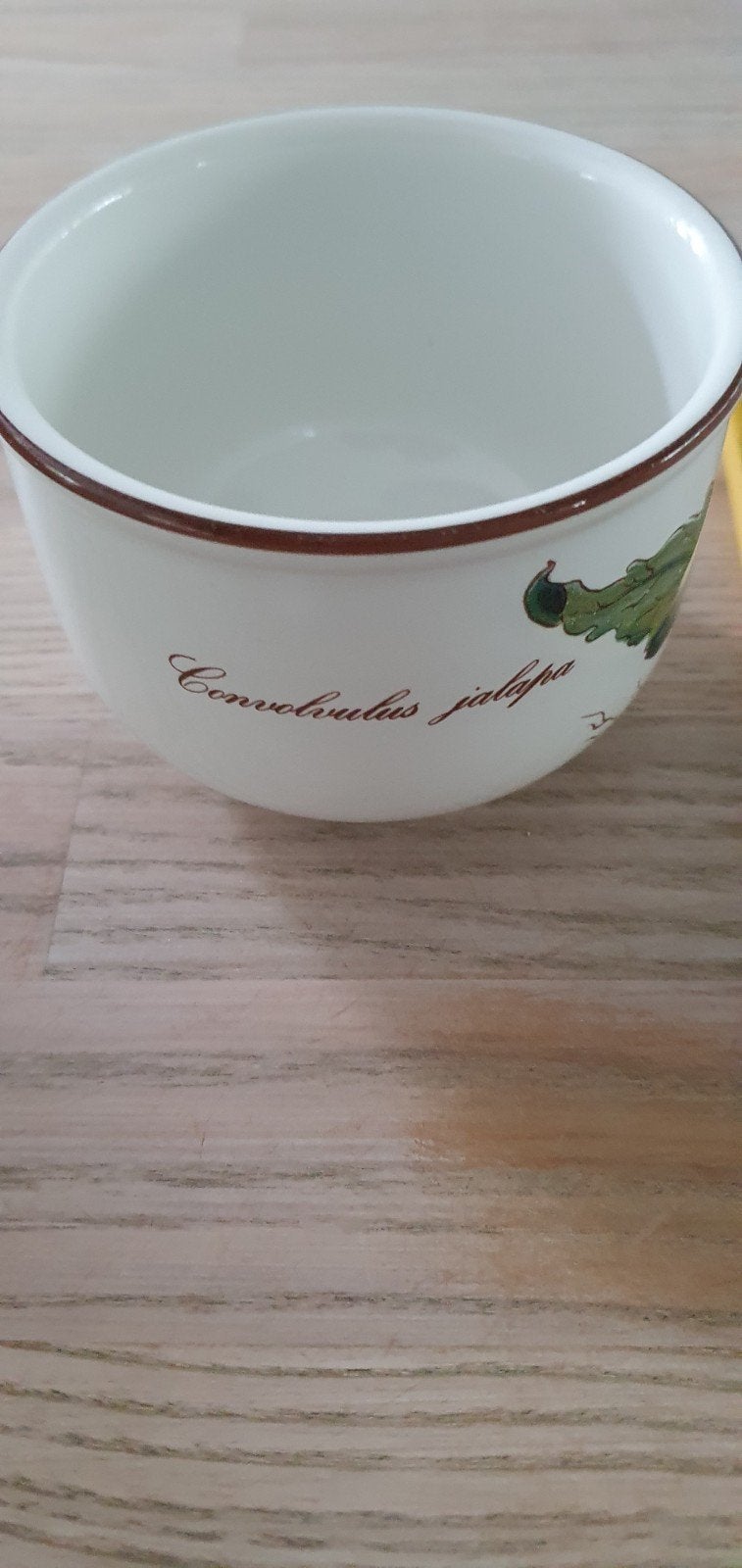 Villeroy & Boch Botanica kom - Convolvulus Jalapa, Ophalen of Verzenden, Zo goed als nieuw, Kom(men), Overige stijlen