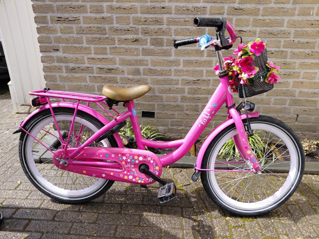LIEF meisjesfiets 20 inch-gebruikt, Ophalen of Verzenden, Gebruikt, 20 inch