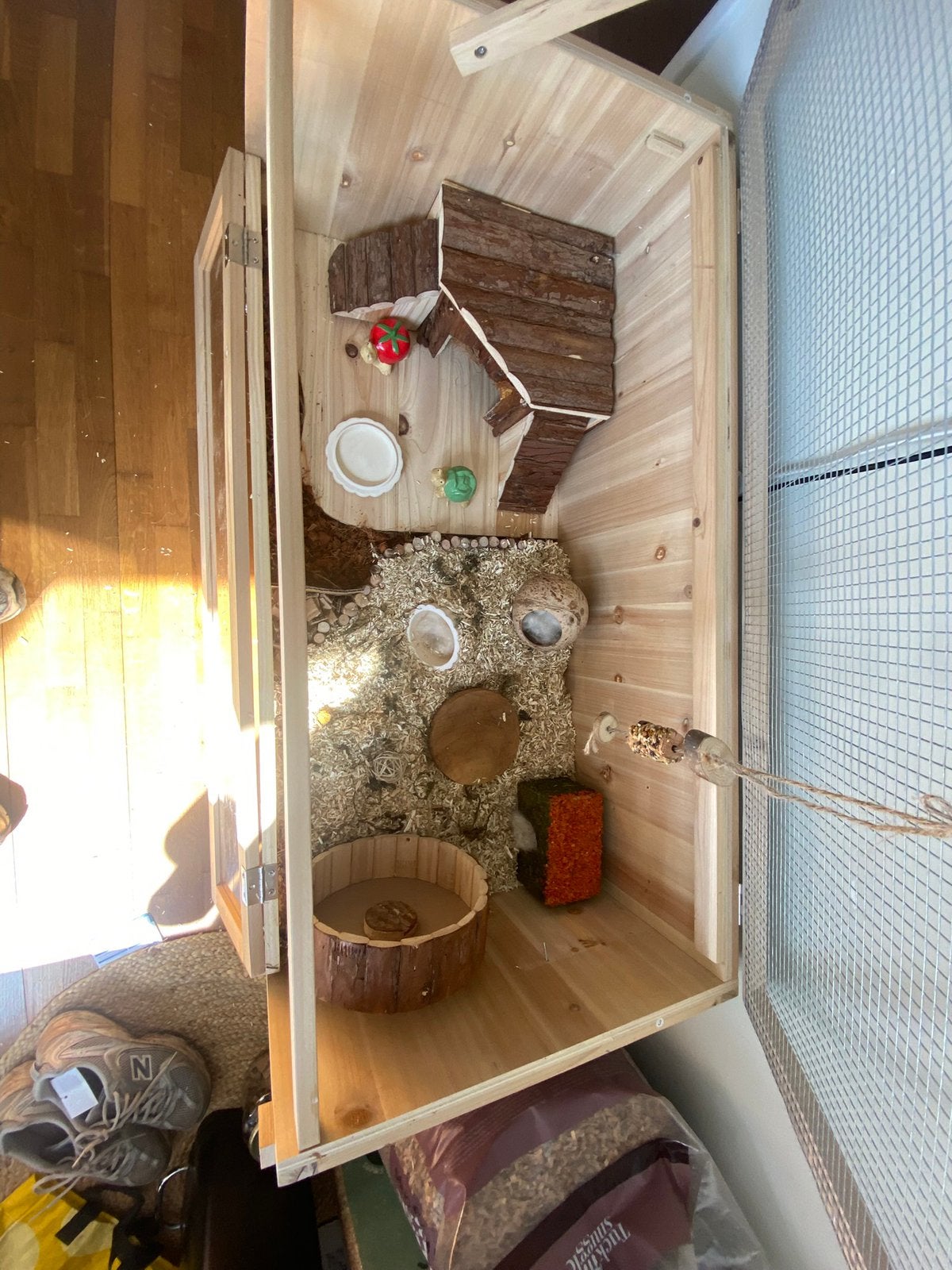 Hamster + Hok, Dieren en Toebehoren, Knaagdieren, Hamster, December, Vrouwelijk, Tam