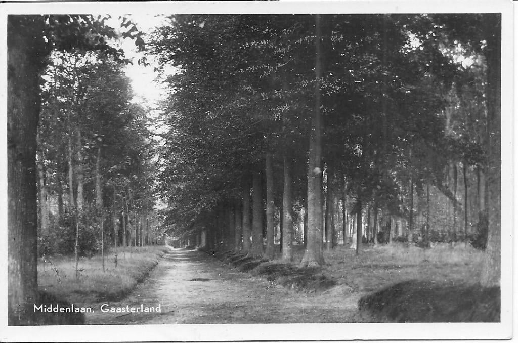 Middenlaan, Gaasterland., Ophalen of Verzenden, 1940 tot 1960, Ongelopen, Friesland